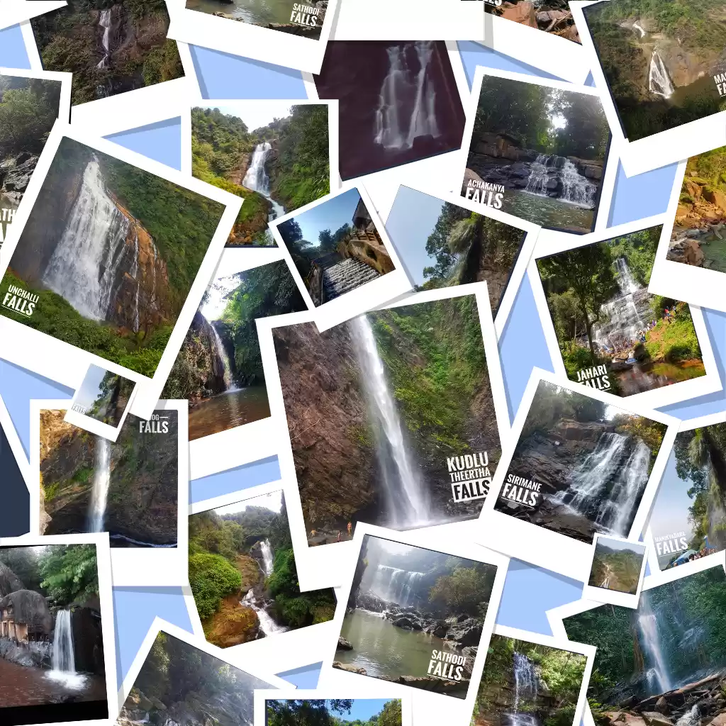 Photo of The Waterfalls Road 