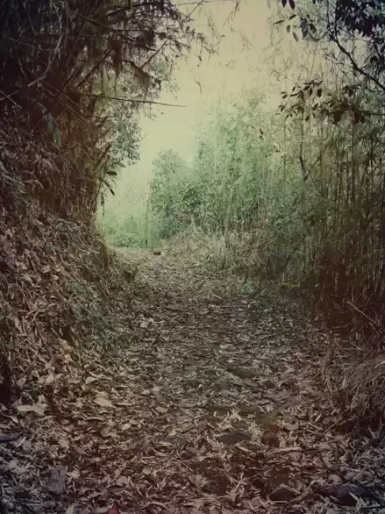 Photo of Waking up in Heaven!