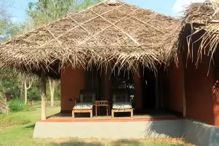 Photo of Kabini, India – Surr