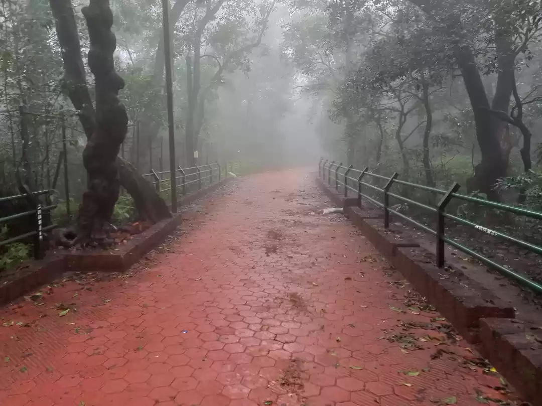 Photo of Rain Kissed Matheran