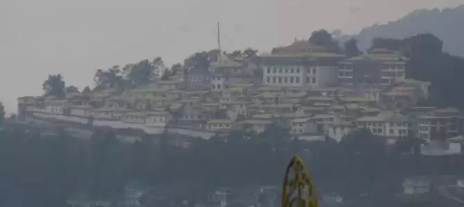 Photo of District Focus: Tawa