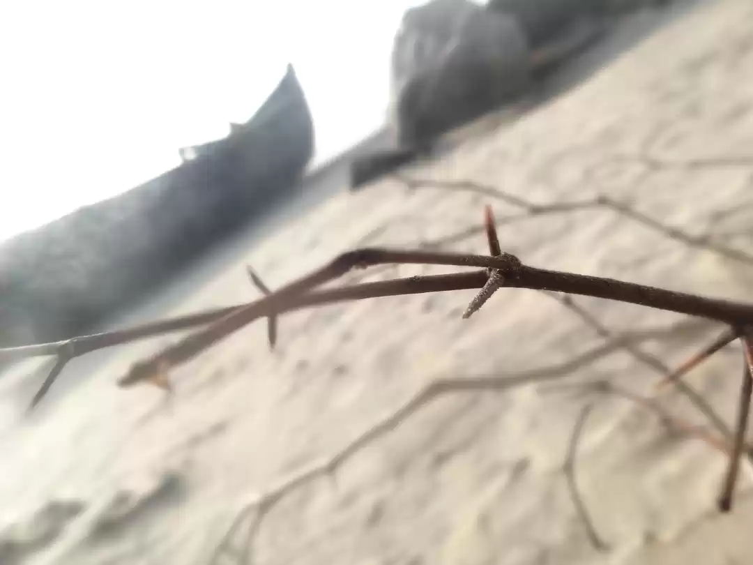 Photo of Castles in the Sand