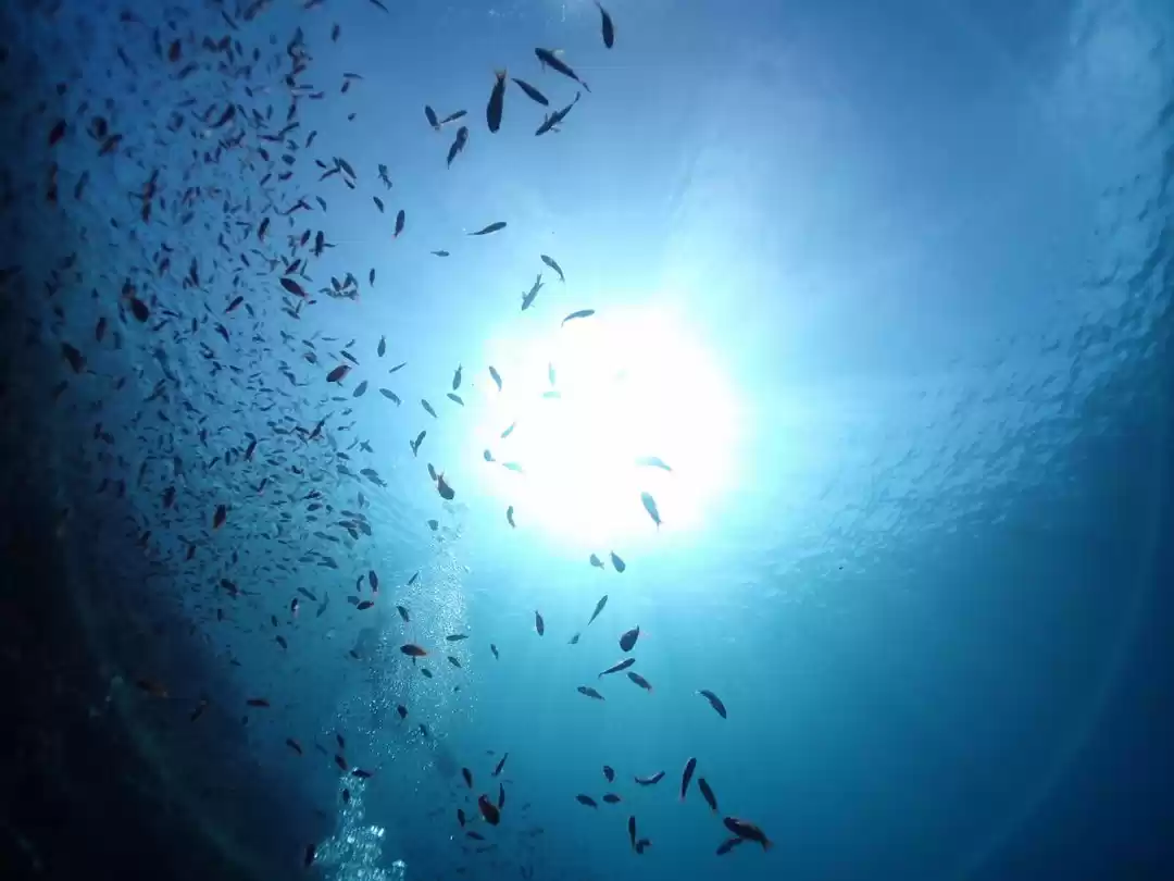 Photo of Koh Tao, Thailand - 