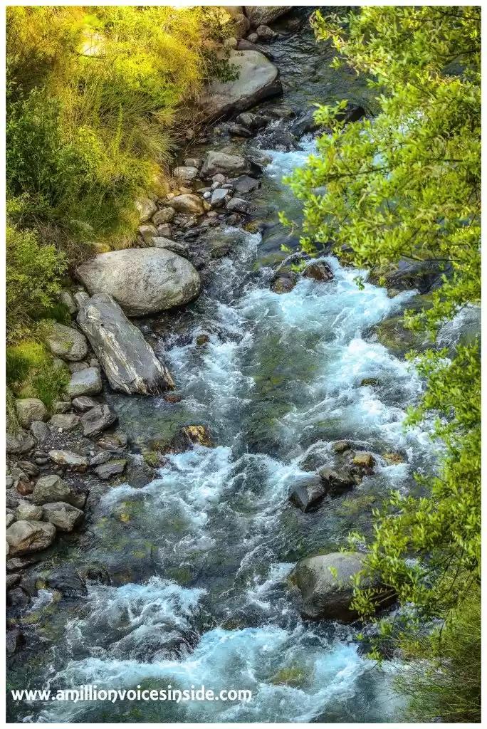 Photo of All about the trip-