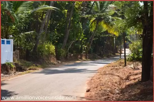 Photo of Goa: Galjibaga beach