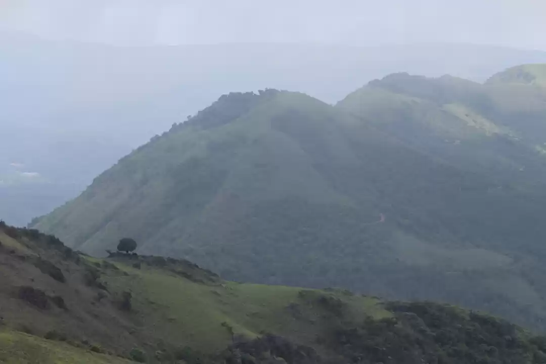 Photo of To The Land of Coffe