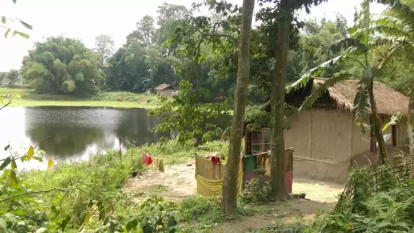 Photo of Travel like a local 