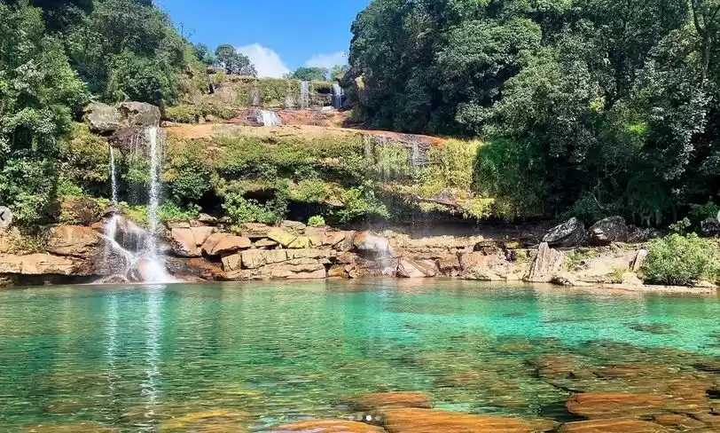 Photo of Drank petrol to chas