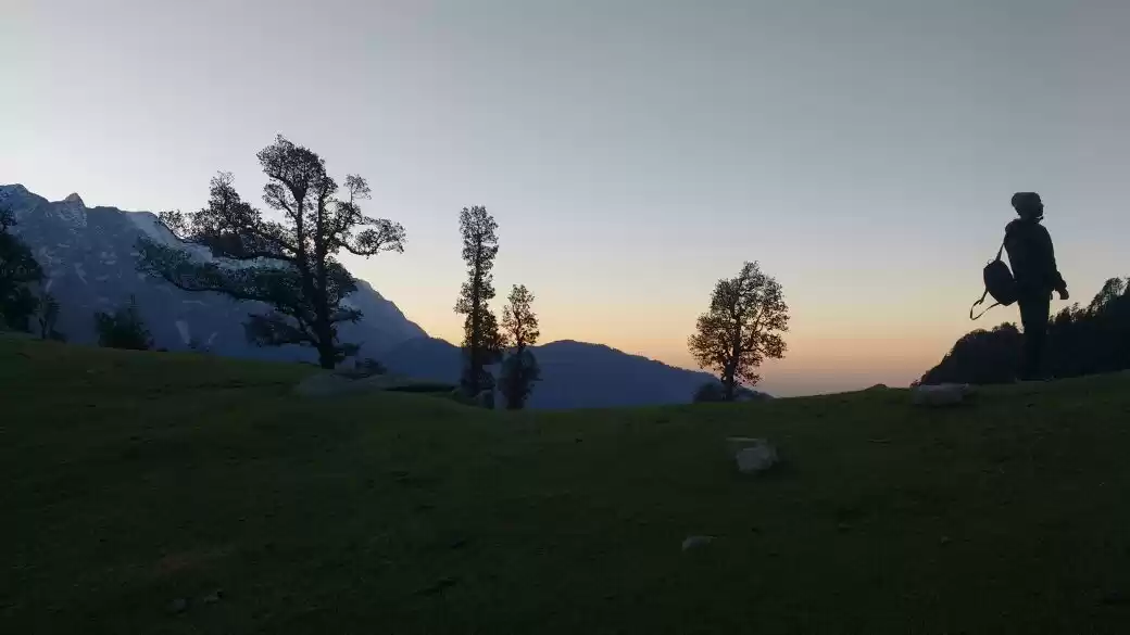 Photo of When a dog became ou