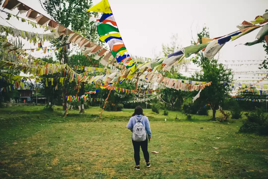 Photo of Bir Billing - everyt