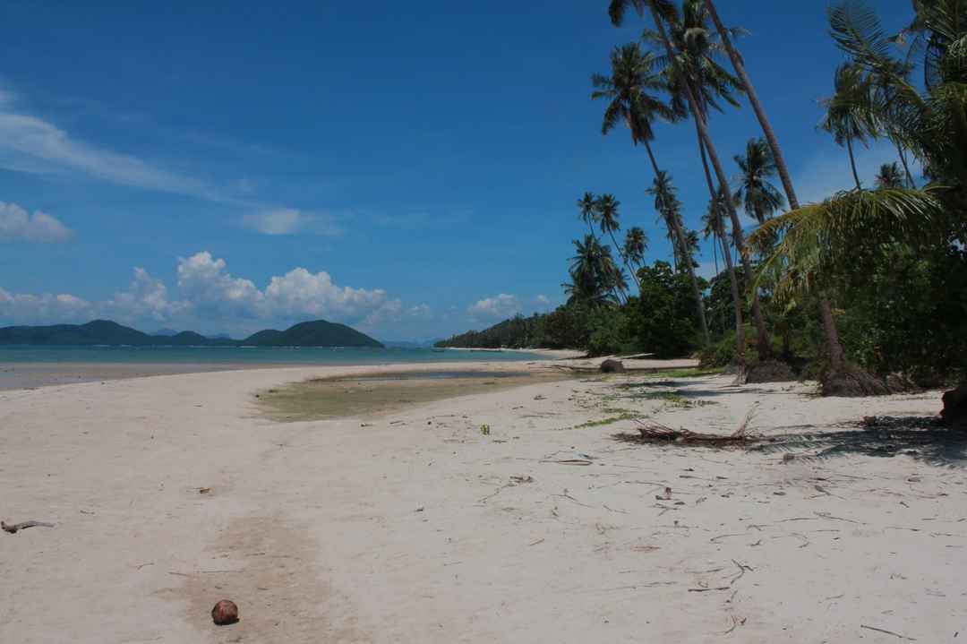 Photo of A Vegetarian and Vegan’s Luxury Travel Guide to Koh Samui