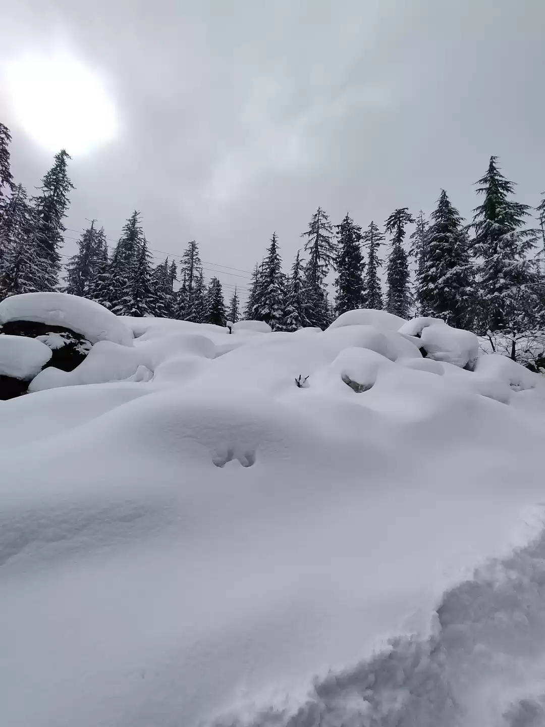 Photo of Himachal Pradesh 202