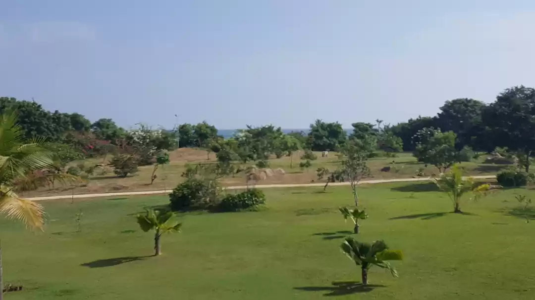 Photo of My Stay At Taj Fishe