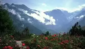 Photo of Mussoorie - The Quee