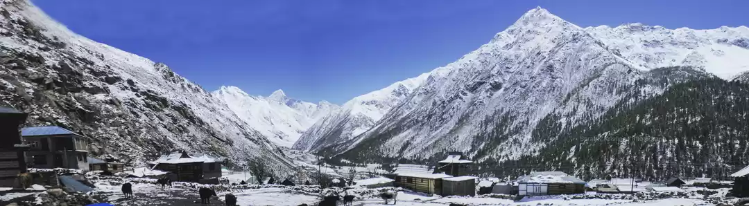 Photo of The Last Abode- Chit