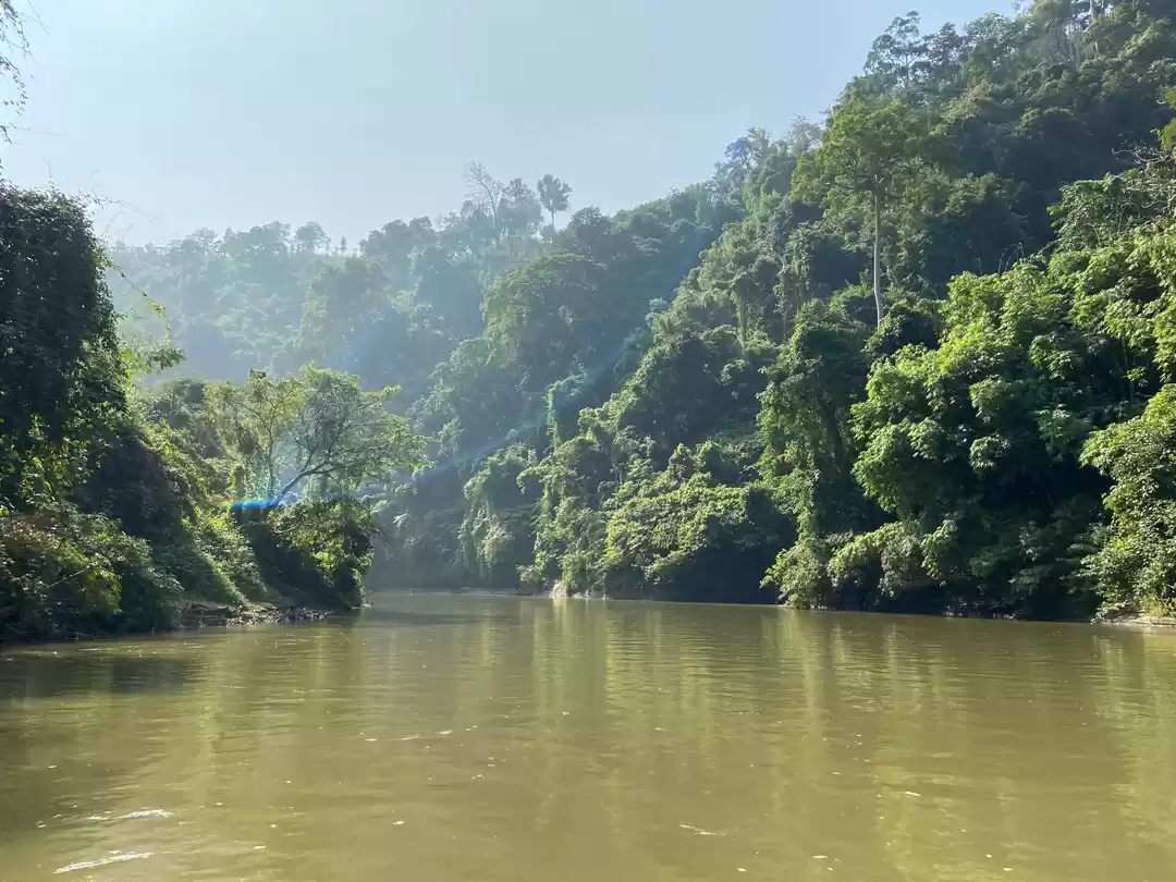 Photo of Feel The Amazon Like