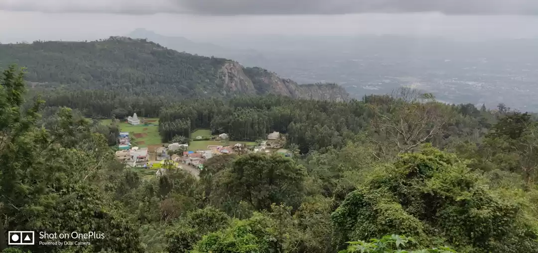 Photo of Misty yercaud hills