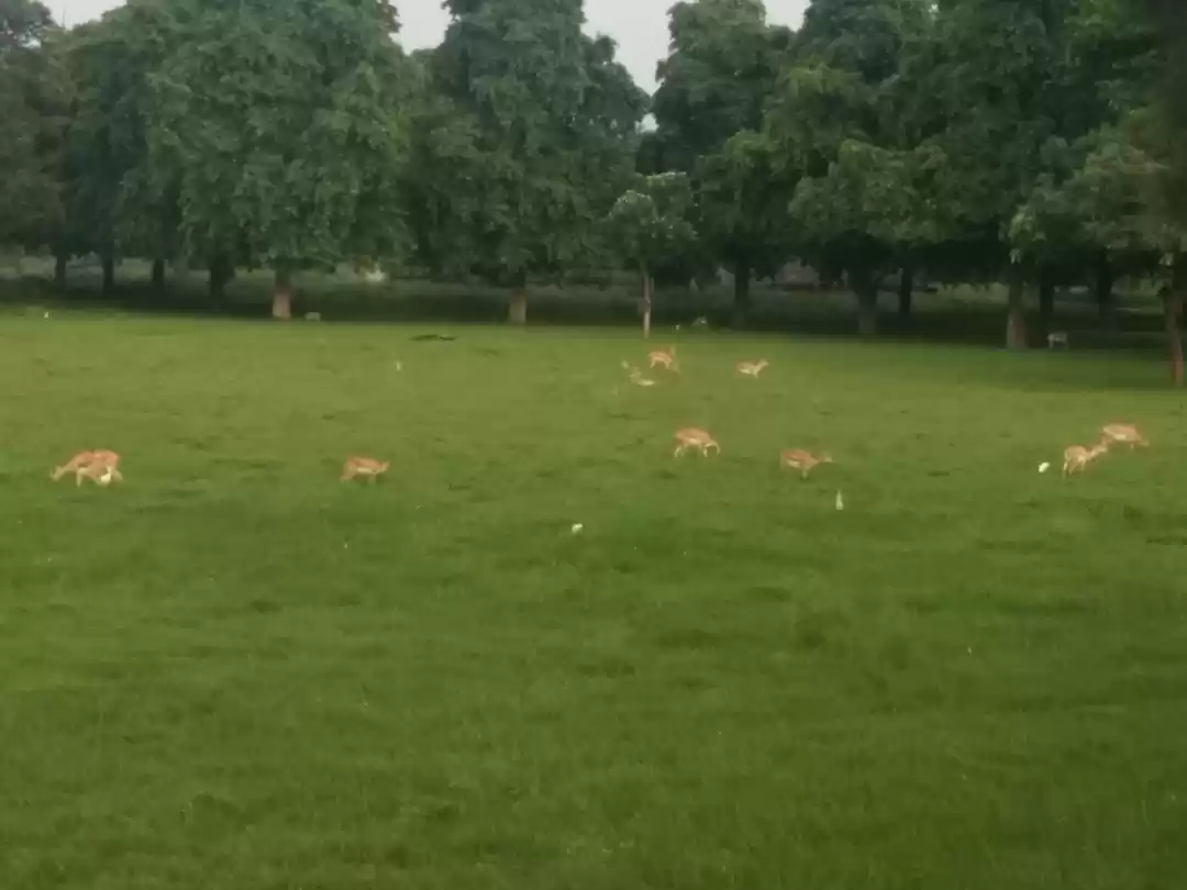 Photo of Weekend Trip to Agra