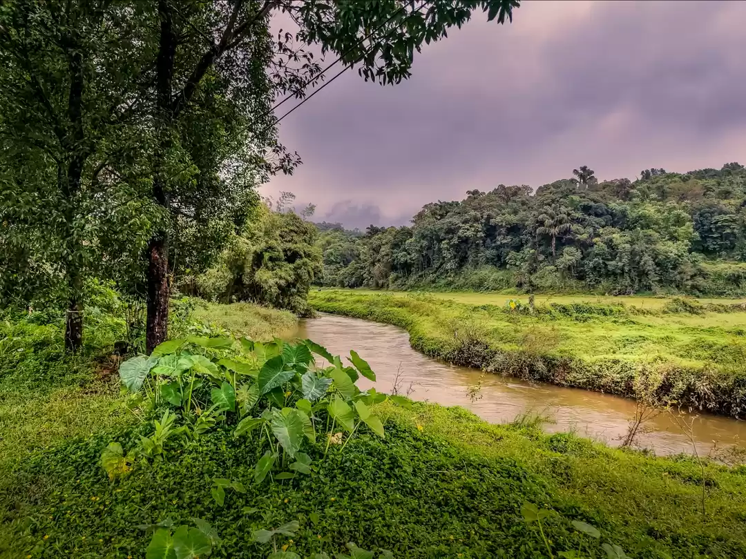 Photo of day in bhagamandala
