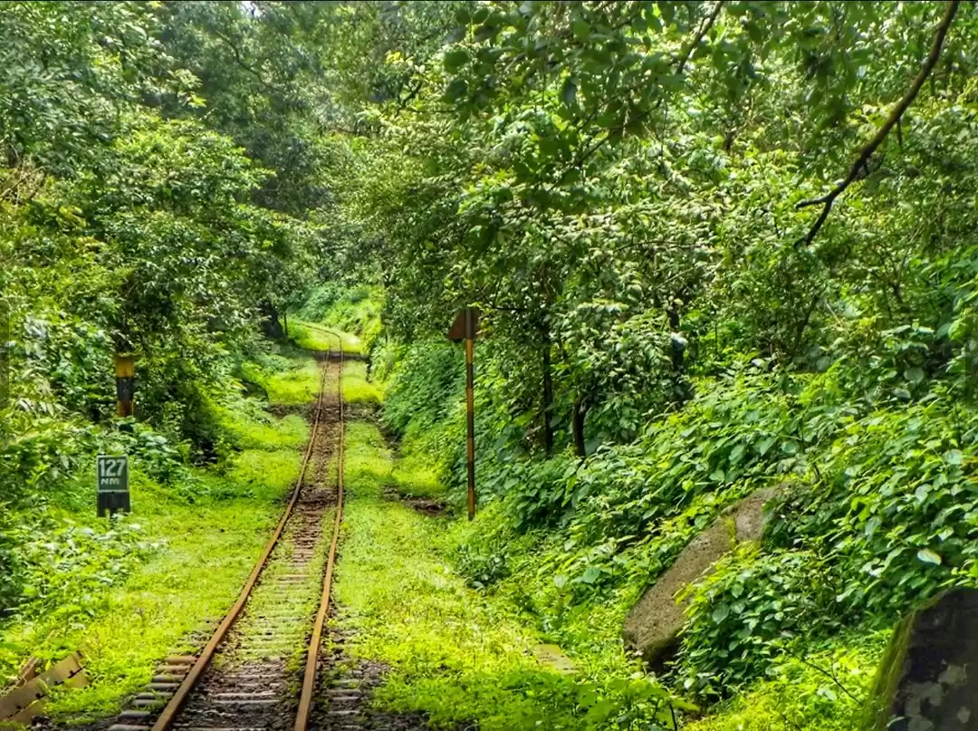 Photo of Under 1000 rupees , 