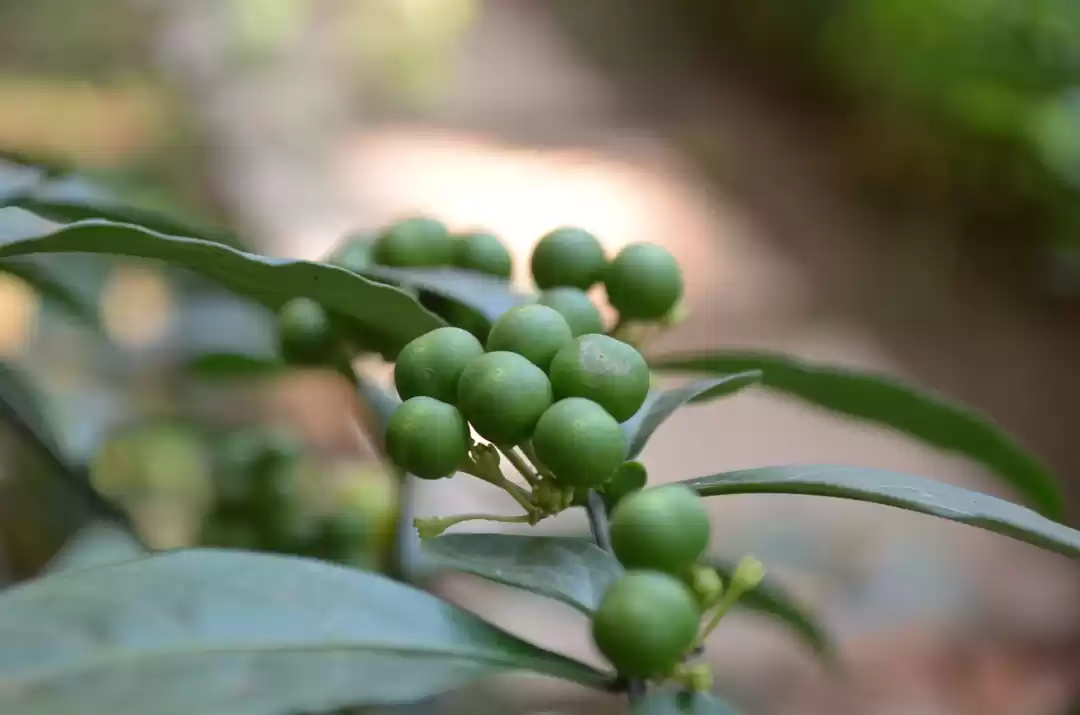 Photo of 7 Reasons Why You Sh