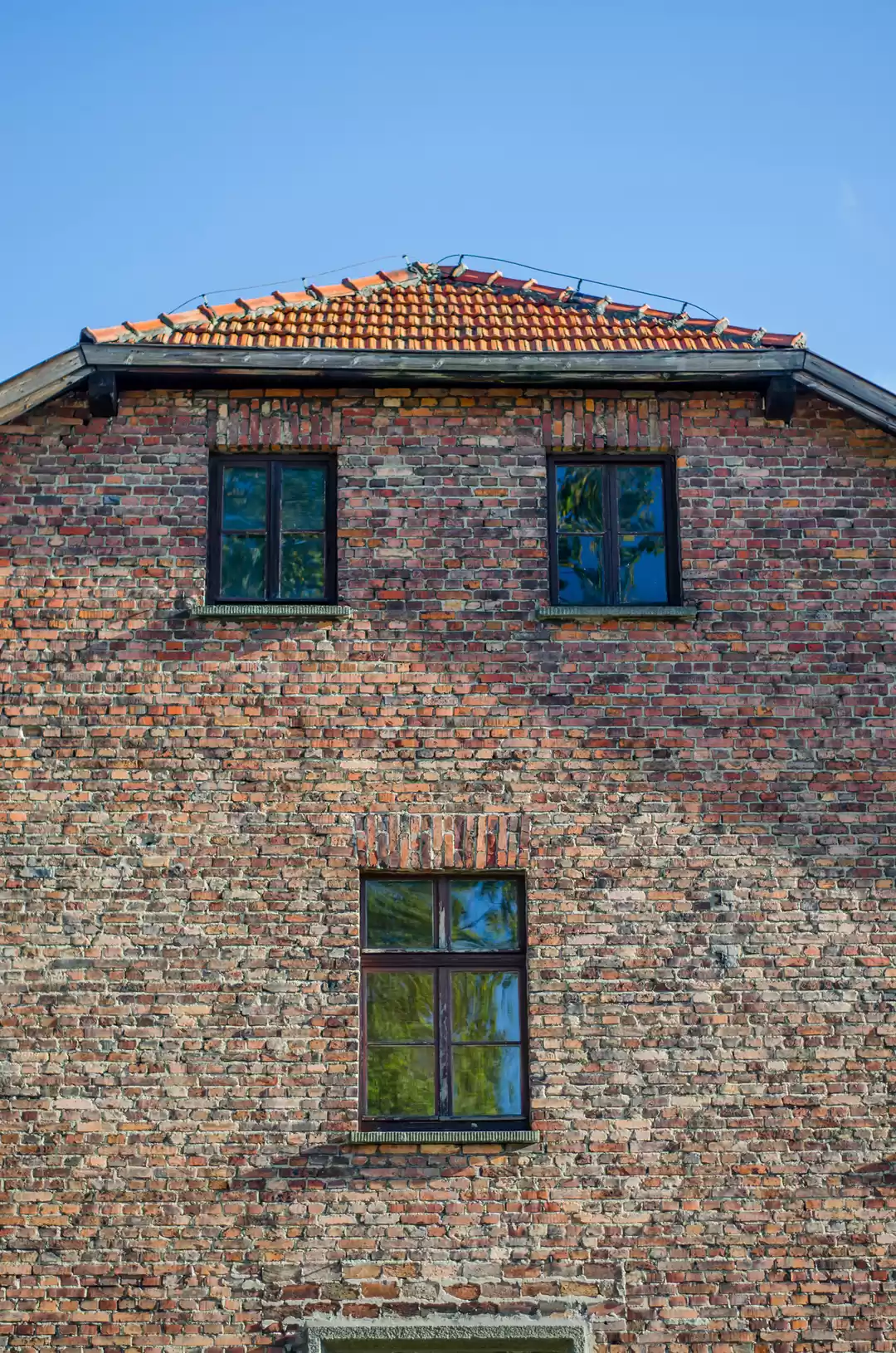 Photo of Windows and Doors of