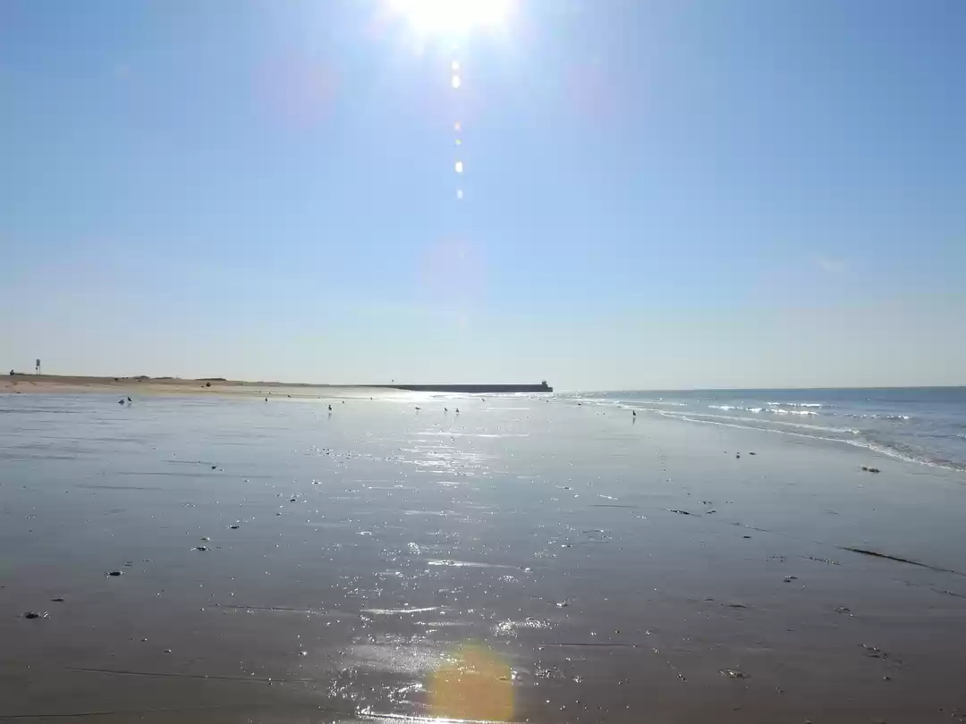 Photo of To the moon and back