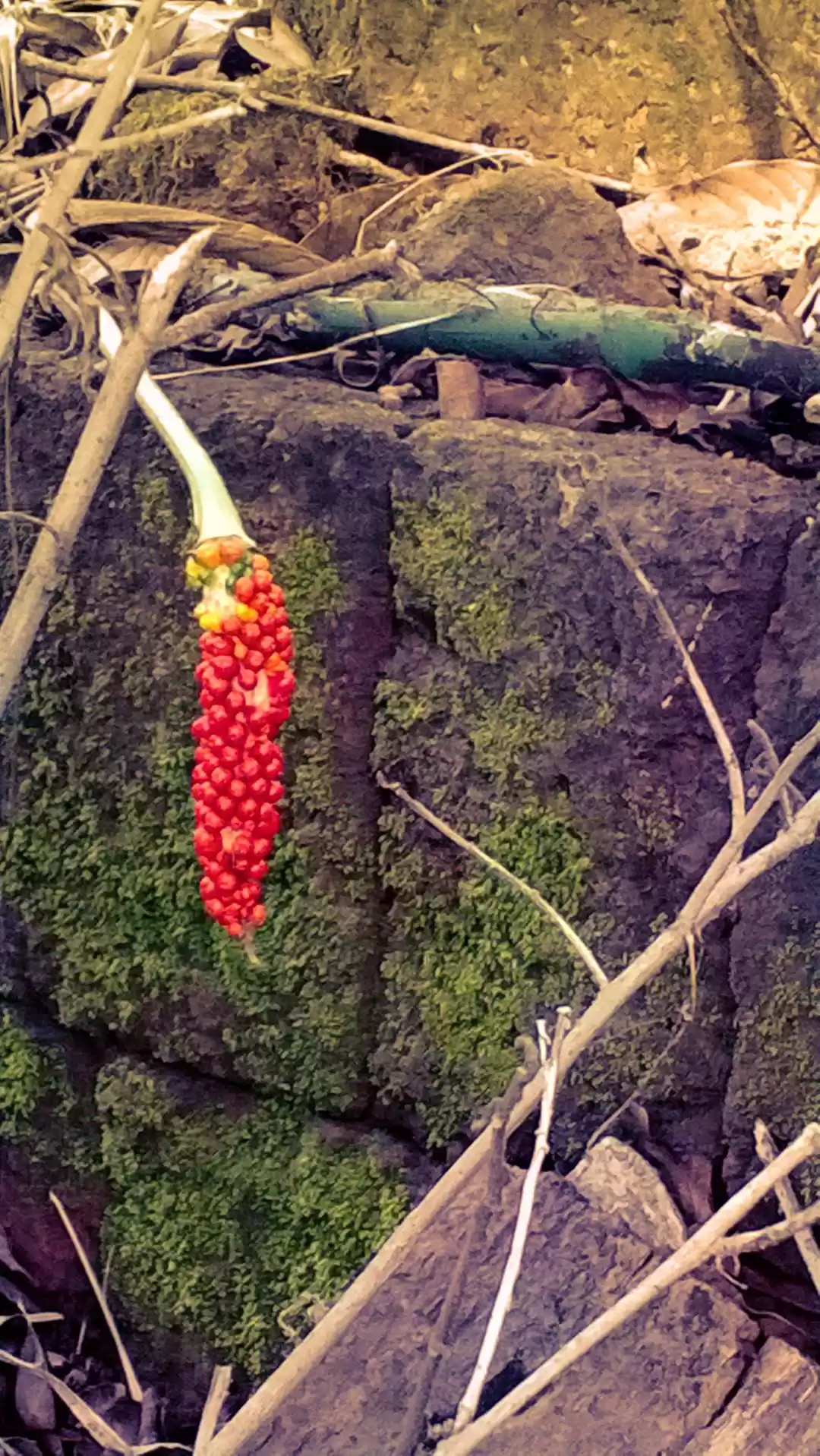 Photo of How to sneak a trip 