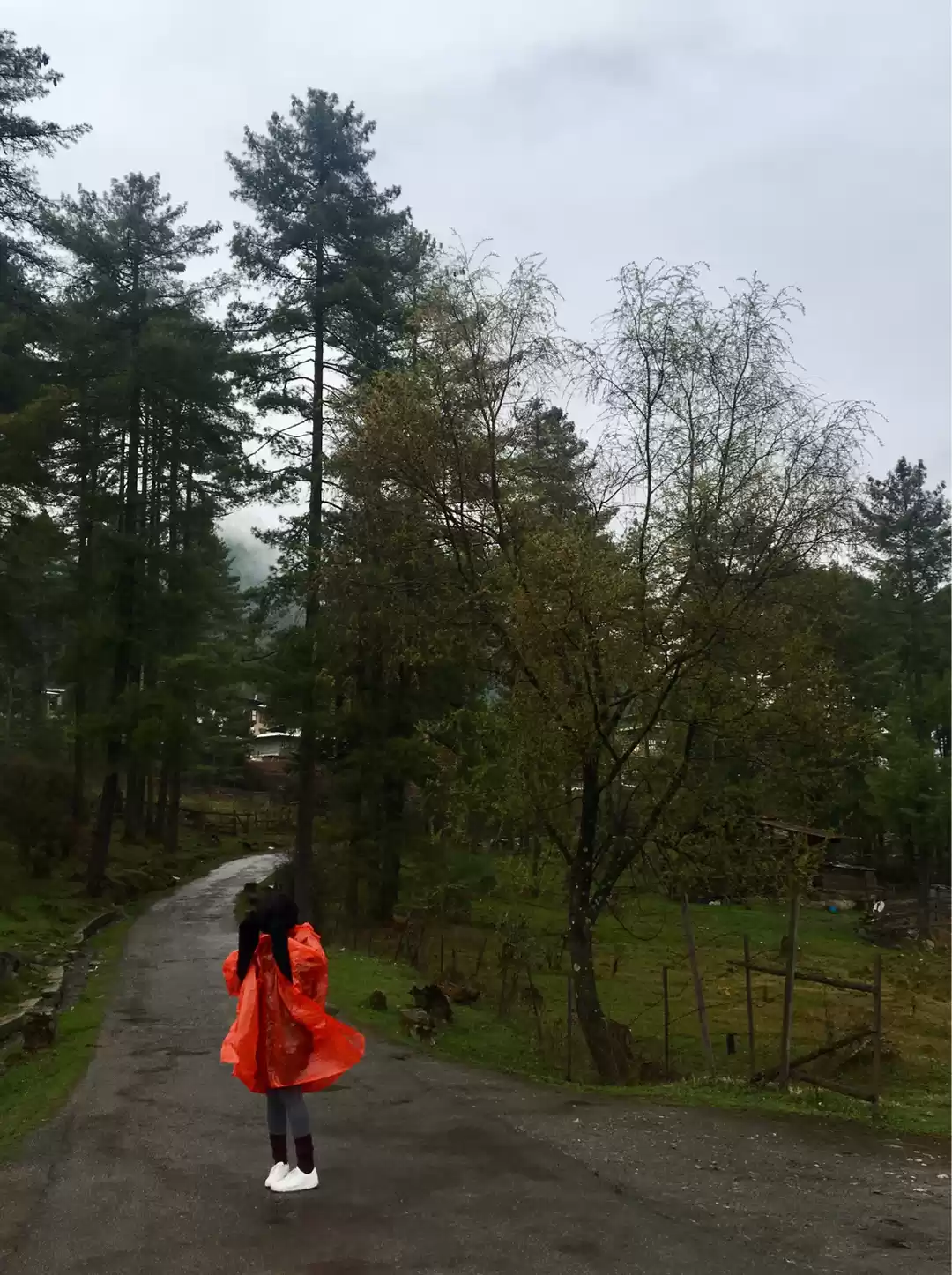Photo of Solo Travel 