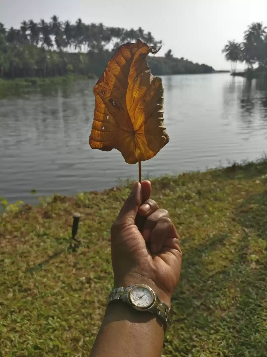 Photo of Backwater Bekal, Ker