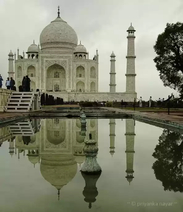 Photo of WANDERLUST: ANT’S-EY