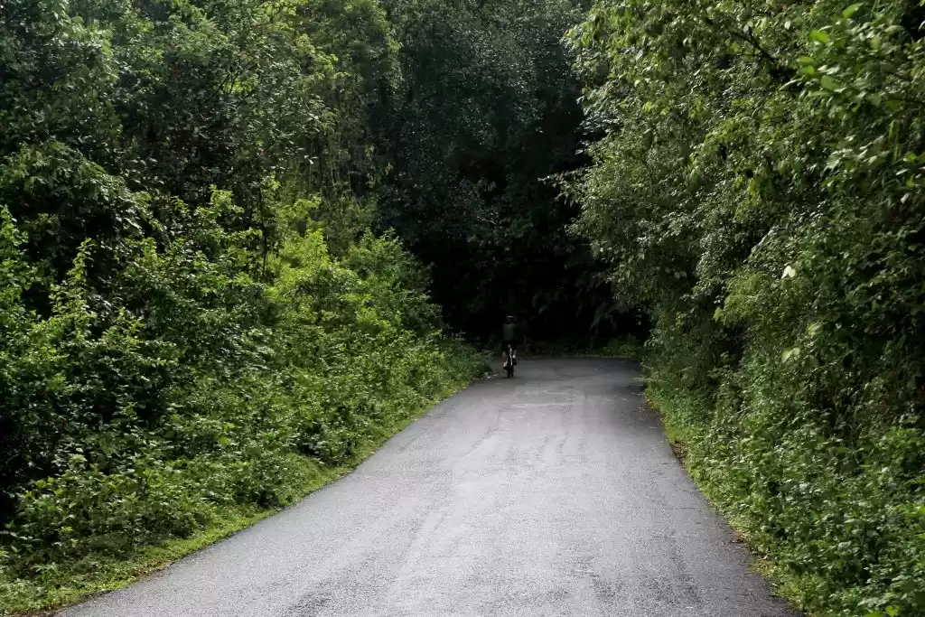 Photo of A Scenic Hill Statio