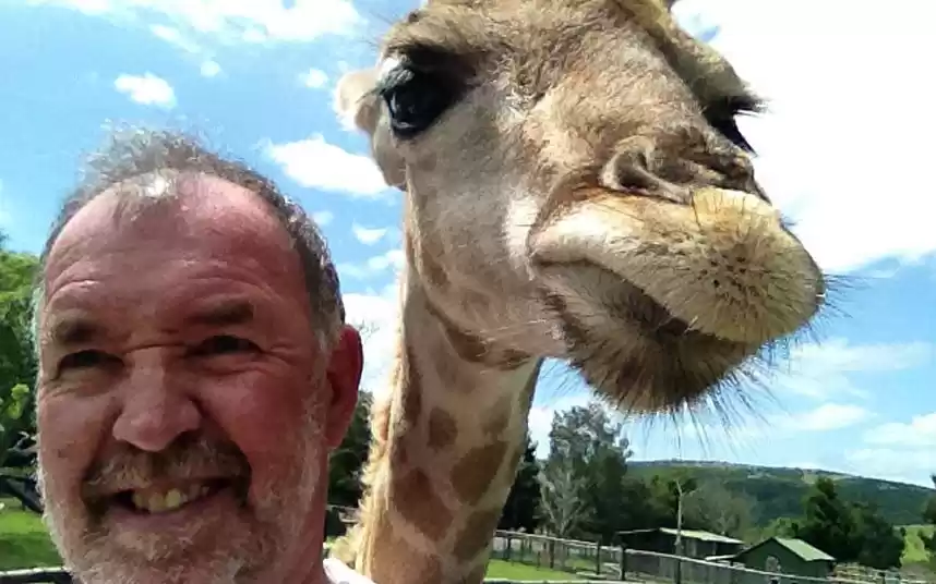 Photo of 13 Reasons Why Trave