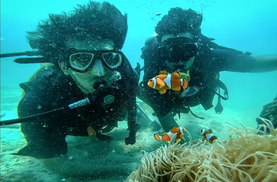 Photo of Scuba Diving Experie