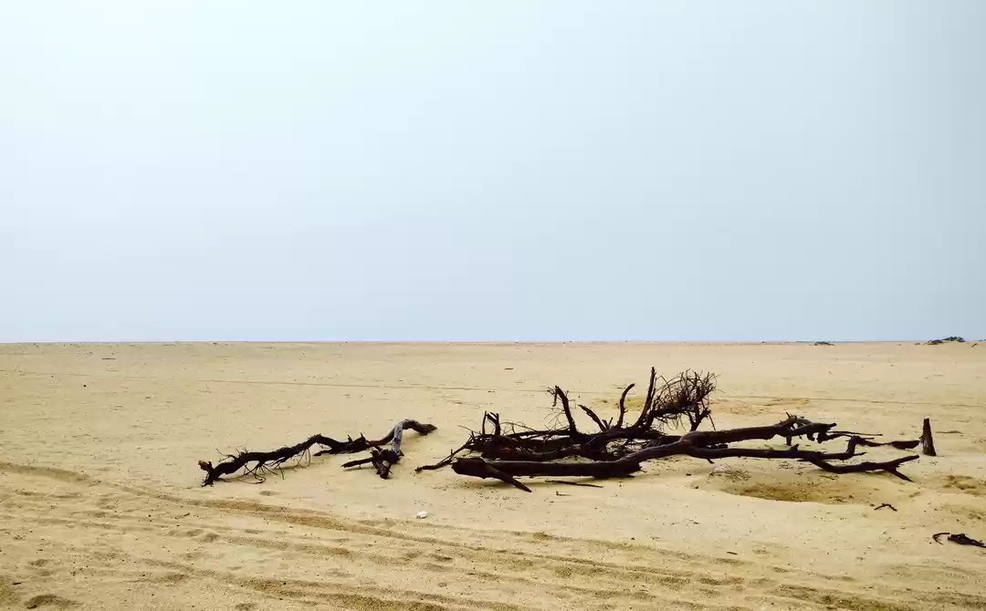 Photo of Dhanushkodi