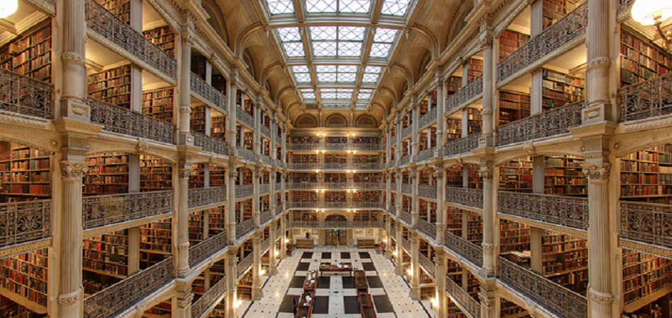 Photo of List Of All The Muse