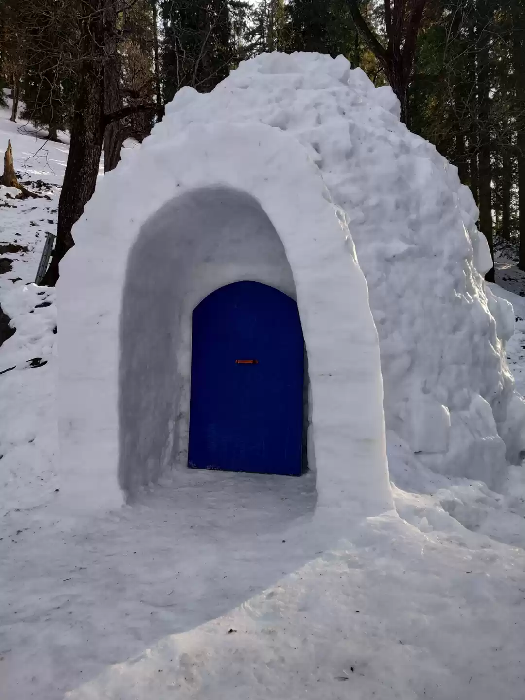 Photo of New Year's Eve at In