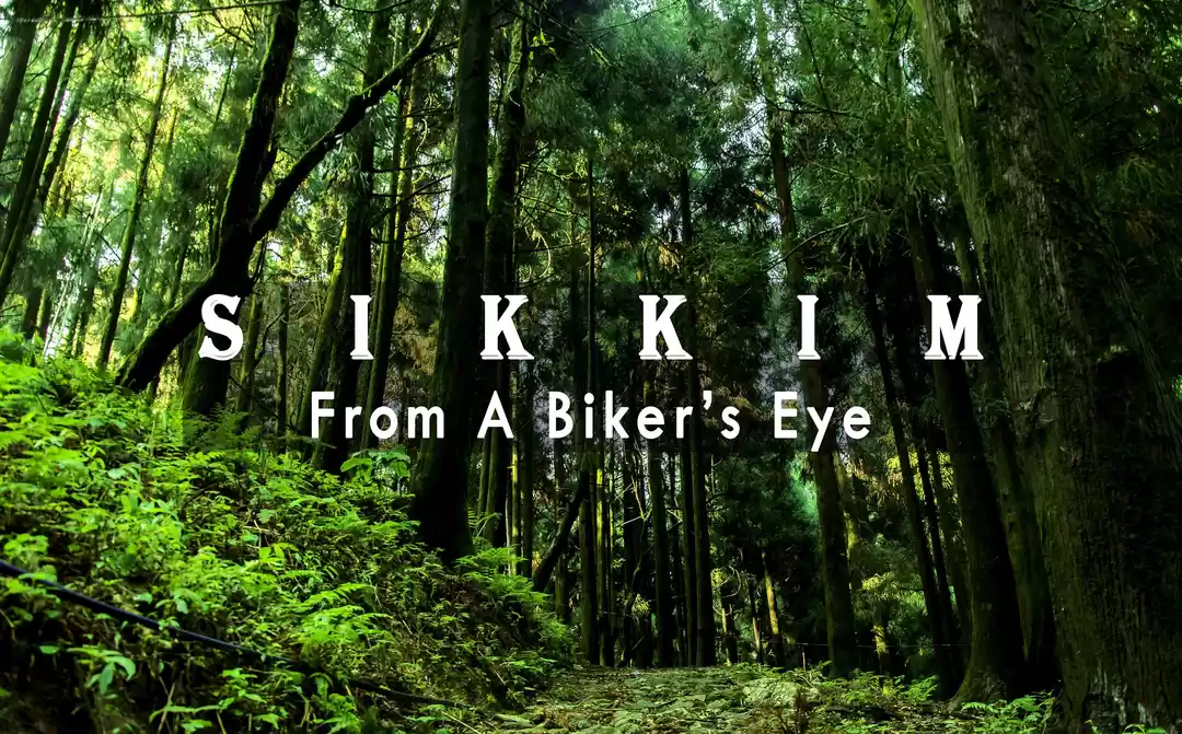 Photo of This is how life mov