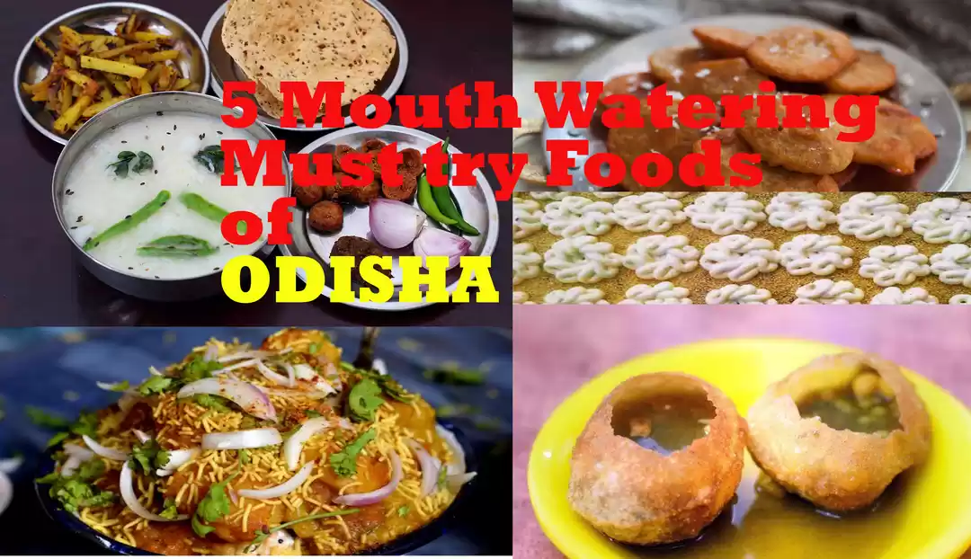 Photo of 5 mouth watering mus