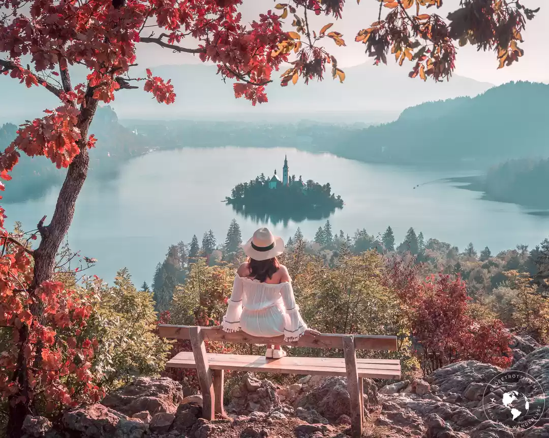 Photo of This Research Scient