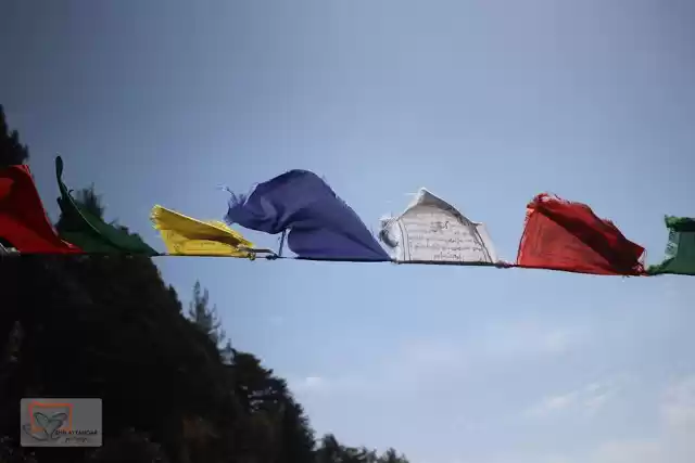 Photo of Travel Guide: Explor