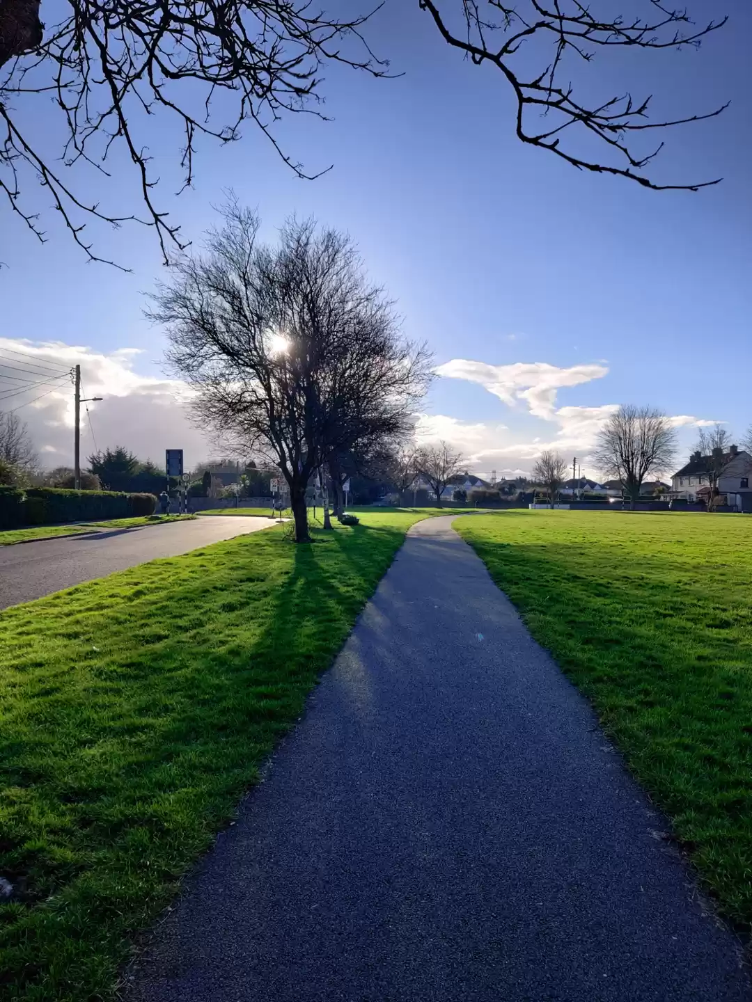 Photo of Ireland- The Emerald