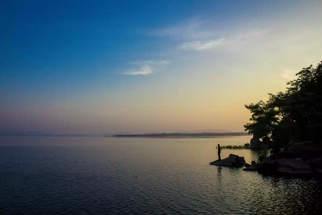 Photo of Pocharam Lake: Weeke