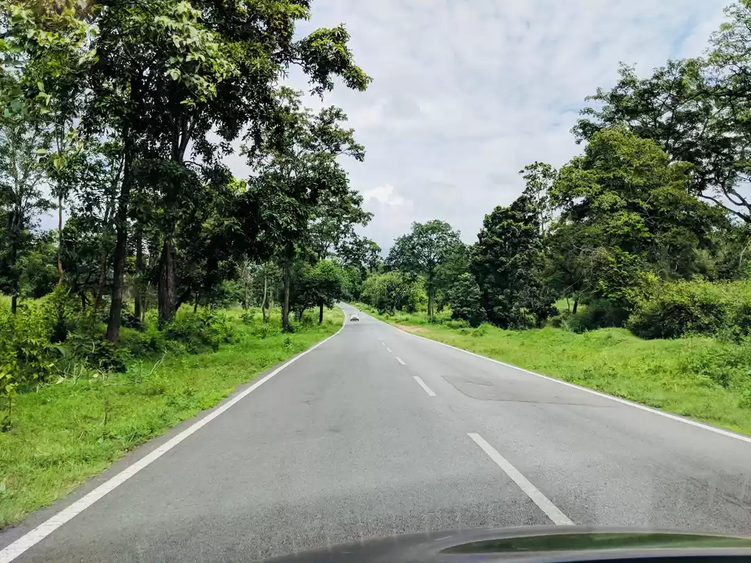 Photo of Coorginess of Coorg-