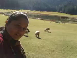 Photo of Dalhousie Diaries: P