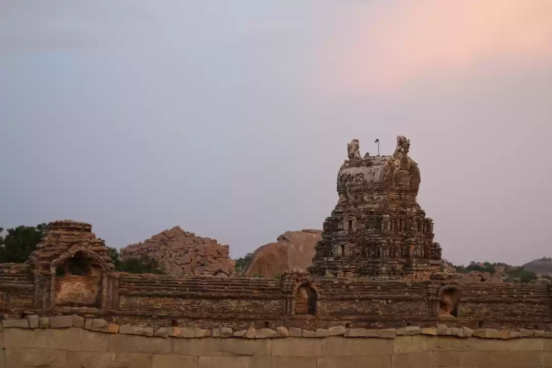 Photo of Wandering amidst the