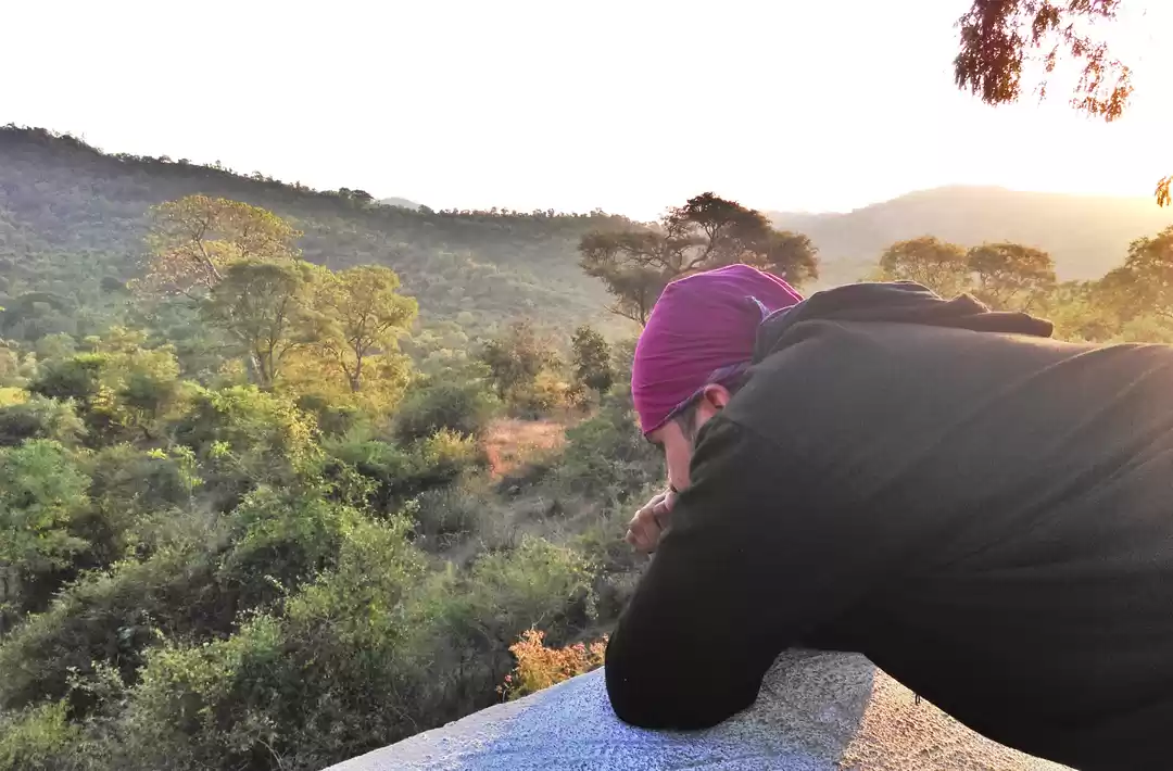 Photo of Waterfalls fish n fu