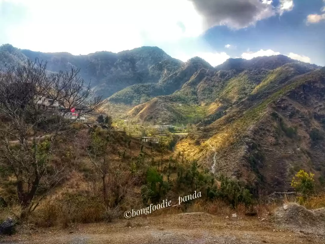 Photo of I thought I was a be