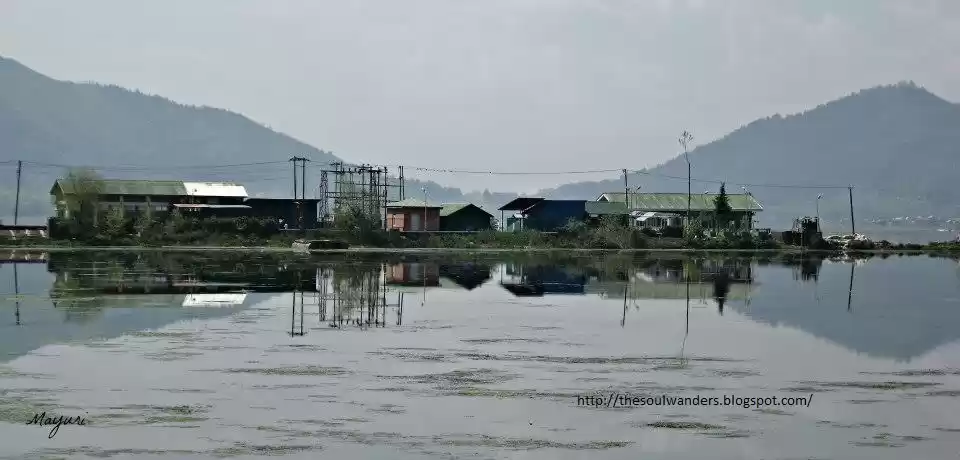 Photo of How I fell in Love w