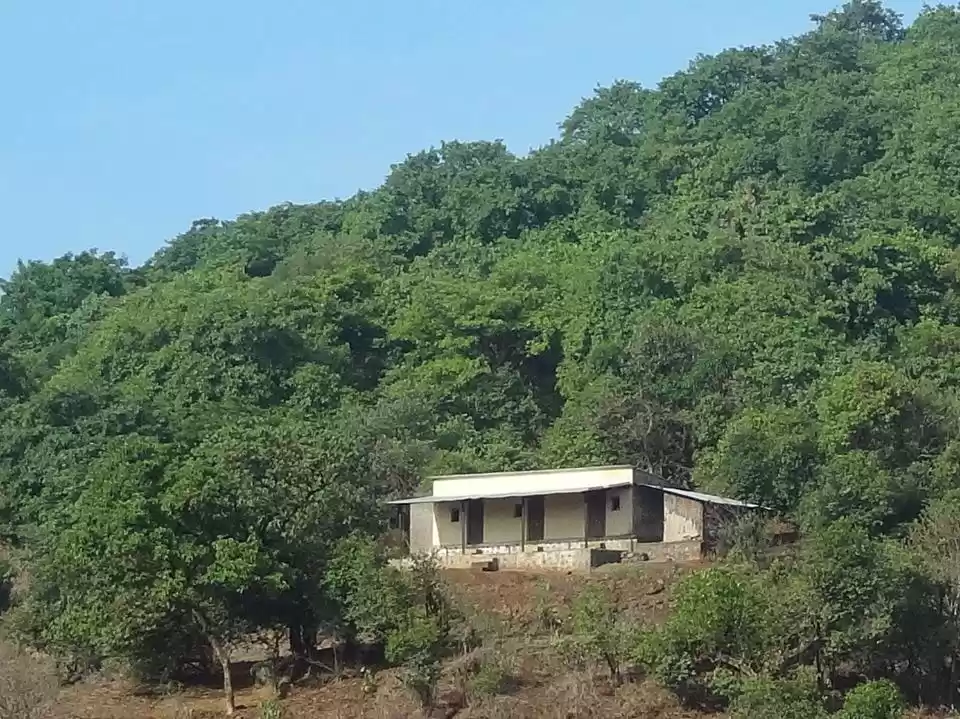 Photo of Nature tripping in B